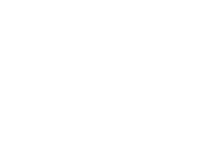Duck graphic